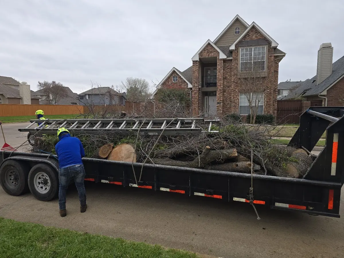 Expert Lot Clearing with proper safety equipment in Albertville
